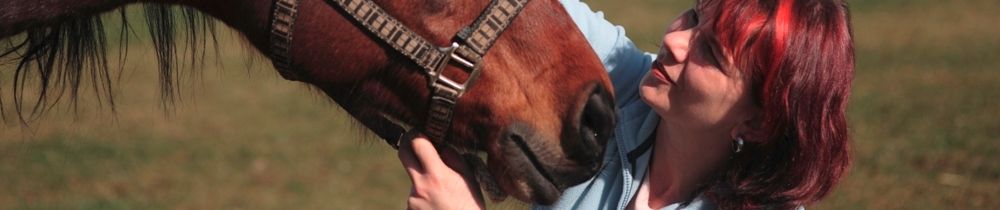 Ausbildung Energetischer Therapeut für Pferde mit Angelique Behrens