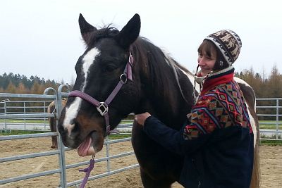Ausbildung Pferdetherapeut, hier Energetischer Therapeut